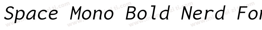 Space Mono Bold Nerd Font Complete字体转换